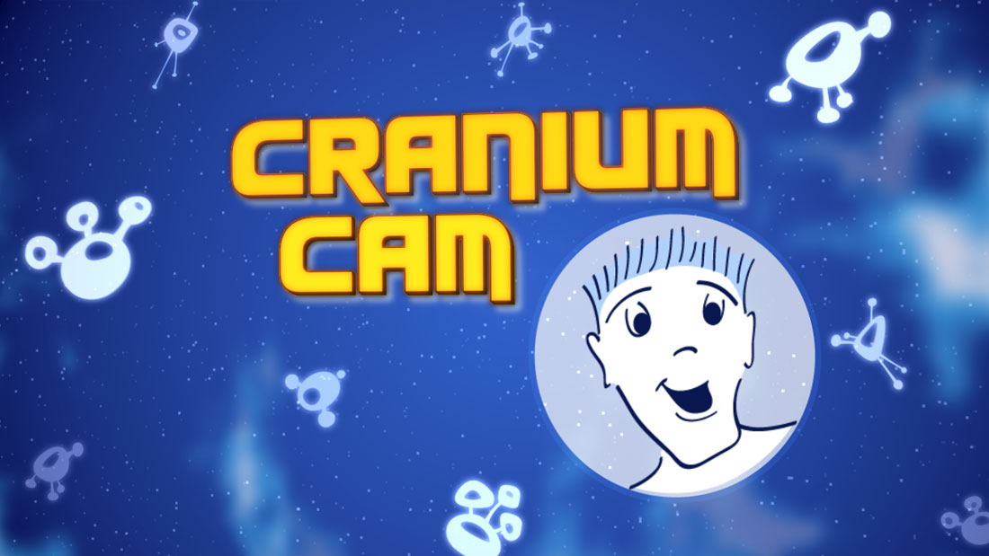 Cranium Cam Motion Design Illustration