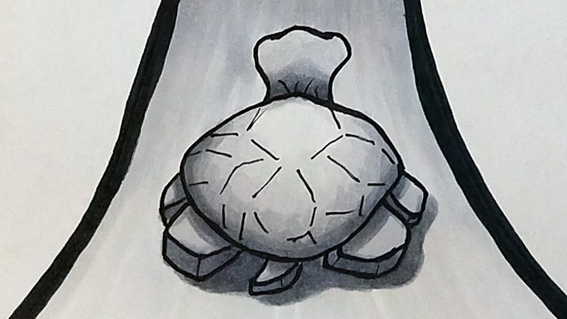 Turtle Sketch